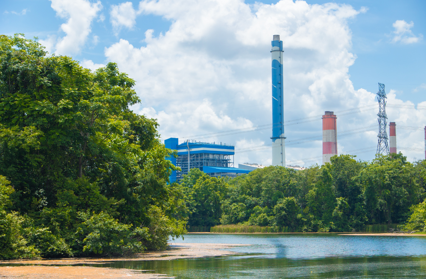 business carbon footprint