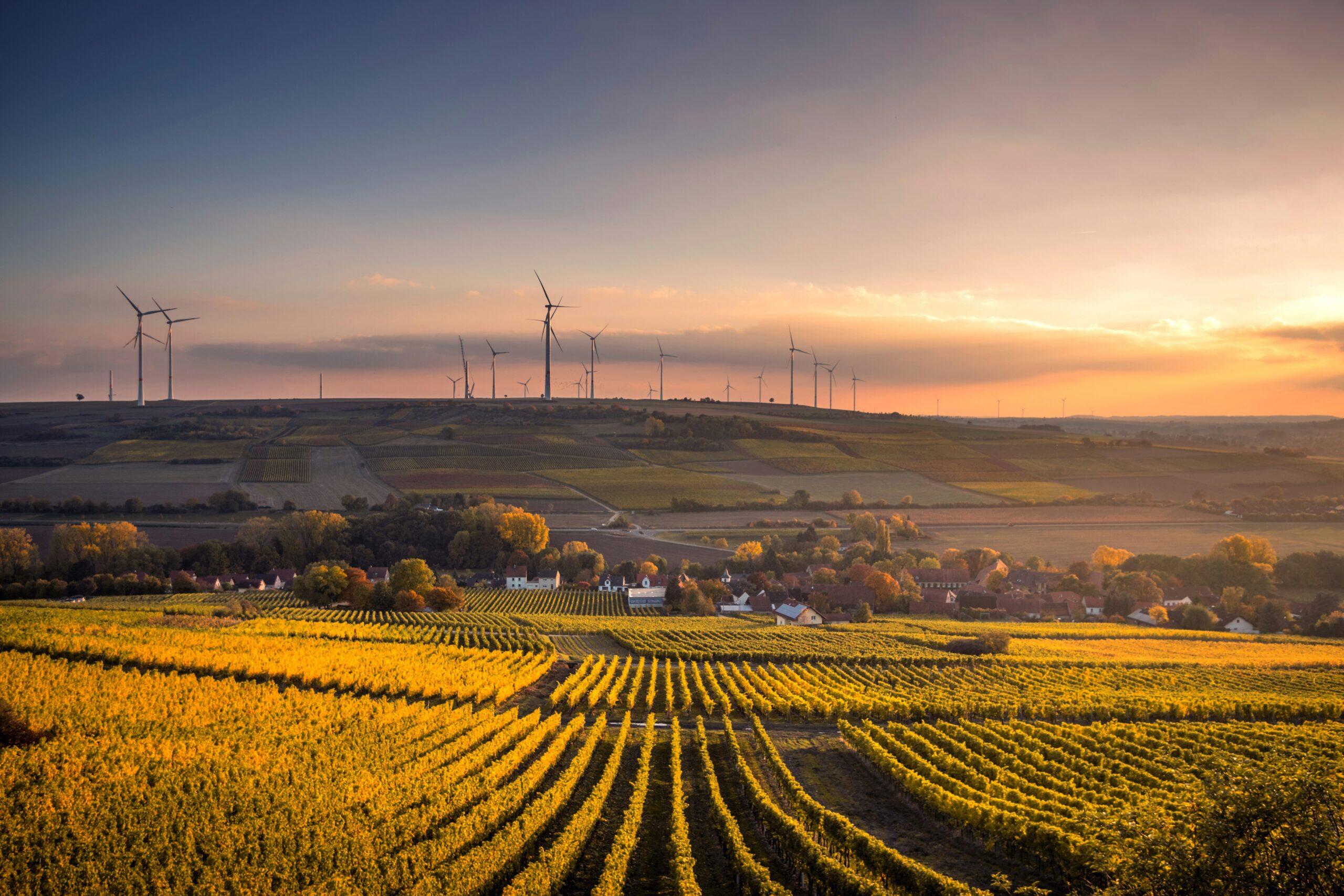 field with view of wind turbines
